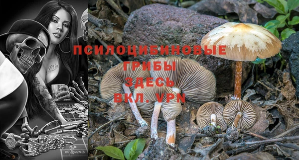 прущая мука Гусь-Хрустальный