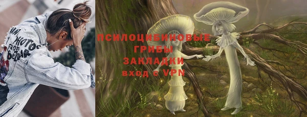 эйфоретик Алексин